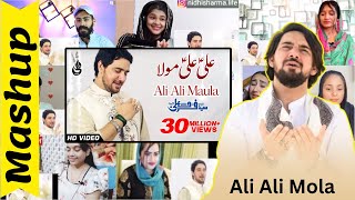 Reaction on Ali Ali Mola | Farhan Ali Waris | Mix Reaction on Ali Ali Mola