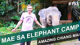 MAE SA ELEPHANT CAMP - AMAZING CHIANG MAI - #193