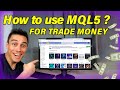 Master the MQL5 Platform: Forex Bots, Signals & Tools Explained! | Ultimate Trader's Guide