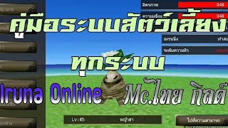 Iruna Online Thailand - คู่มือระบสัตว์เลี้ยงตั้งแต่เริ่มต้นถึงใช้งานจริง