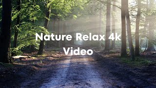 nature||relax||peace||calm||stress relief||feelings||4k|| #naturelovers #nature4k
