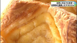 鳥羽国際ホテルのチーズケーキをリメーク　キズや焼きむらで販売できず　シュクレフロマージュでまた人気