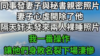 同事發來妻子與秘書親密照片，妻子心虛開除了他，隔天奸夫發來兩人裸睡照片，我一番操作，讓他們身敗名裂下場淒慘【無心情話】#楓林情感#都市情感#情感故事#深夜淺讀#家庭矛盾 #爽文