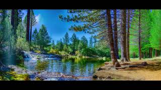 Wellness Cascades: Rejuvenating ASMR Waterfall and Fitness Adventure. Eagle Trails #2 HD 1080p