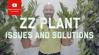 ZZ Plant Issues & Solutions