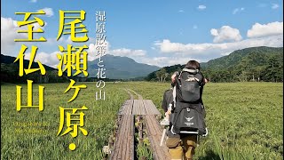 ＜親子登山＞日本最大の山地湿原・尾瀬ヶ原と、花の山・至仏山