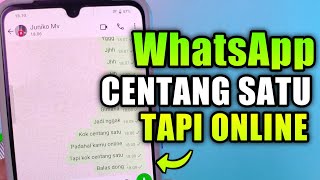 Cara Membuat WhatsApp Centang 1 Padahal Online Terbaru