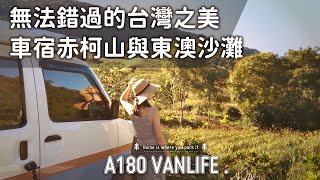 EP09 【車宿】無法錯過的台灣之美│車宿赤柯山│海拔九百的黃金原野│中秋金針花季的尾聲