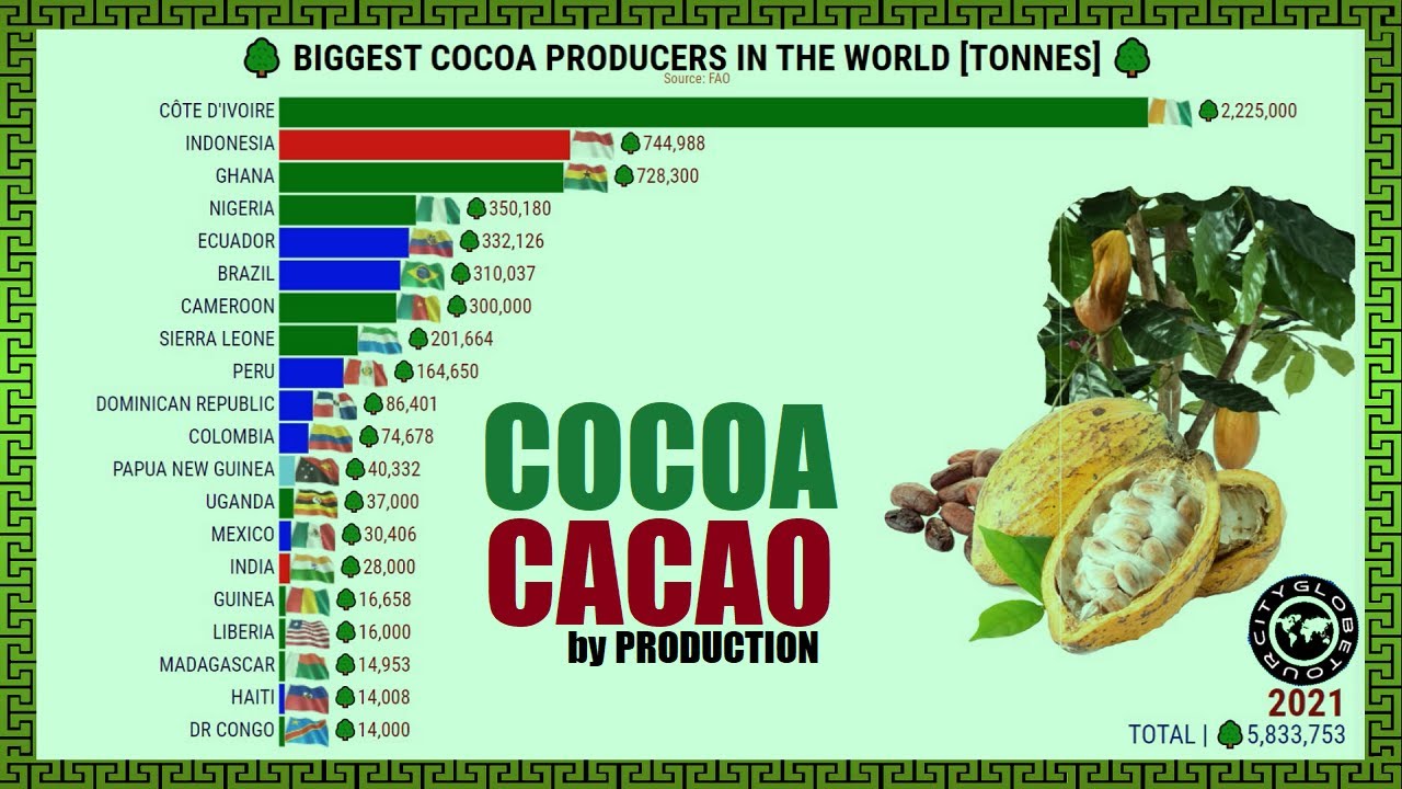 BIGGEST COCOA PRODUCERS IN THE WORLD - YouTube