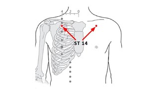 STOMACH 14 KUFANG (STOREHOUSE)