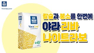 칼슘과 붕소가 함께 있는 최고의 칼슘비료 | 농사 100단