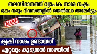 തലസ്ഥാനത്ത് വ്യാപക നാശ നഷ്ടം ഒപ്പം വരും ദിവസങ്ങളിൽ യെൽലോ അലേർട്ടും