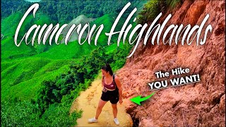 This is The Best Hike in The Cameron Highlands | Tanah Rata Vlog 🇲🇾