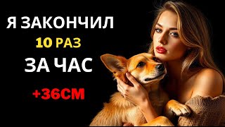 Собака сделала то, что мой муж не делал 9 лет, и мне это понравилось.