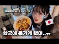 韓国留学🇰🇷に行けなくなった？！からオムライス作って現実逃避〜😅