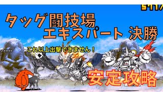 タッグ闘技場 エキスパート 決勝　安定攻略