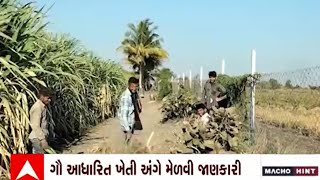 Junagadh: કેન્દ્રના રાજ્યના નાણામંત્રી ભાગવત કરાડે લીધી જામકા ગામની મુલાકાત, જુઓ વીડિયો