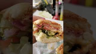 Review on Subway Spicy Italian Sandwich