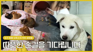 [숏클립] 따뜻한 손길을 기다립니다 | 생생투데이 사람과 세상 (KBS 2025.01.14. 화 방송)