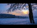 relaxing music雪夜的温柔静谧 冬日美景与舒缓之声the gentle stillness of a snowy night winter serenity