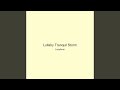 Lullaby Tranquil Storm
