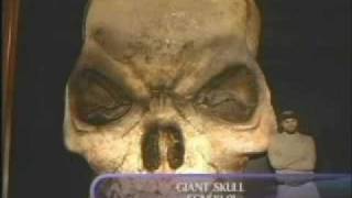 SCNSKL01   GIANT SKULL