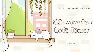 30 minutes - Relax & study with me Lofi | Cat by the window #timer #30minutetimer #lofi #relaxing