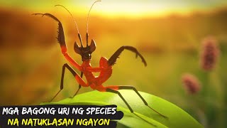 10 Pinaka Nakamamanghang Bagong Tuklas na mga Species