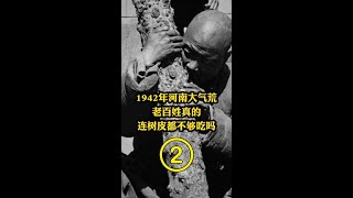 触目惊心1942年河南旱灾,灾民饿的啃树皮，最后连树皮都不够吃 (2)