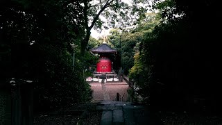 Morning Walk in the Rain, Tokyo, Ikegami Honmon-ji. Temple and Cemetery.  4K HDR