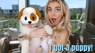 I GOT A PUPPY!!!