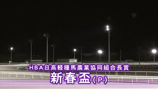 【新春盃 (P)】 2025 1/2 名古屋競馬場