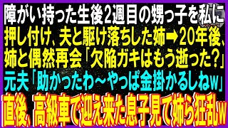 【スカッと話】生後2週の甥っ子を私に押しつけ不倫夫と駆け落ちした愛人の姉➡20年後､姉と偶然再会「欠陥ガキ逝った？」元夫「助かったｗやっぱ金掛かるし」直後､高級車で来た息子見て姉ら狂乱【修羅場】総集編