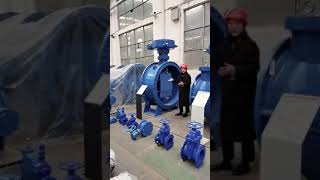 “Double Eccentric Butterfly Valves” From production to packaging