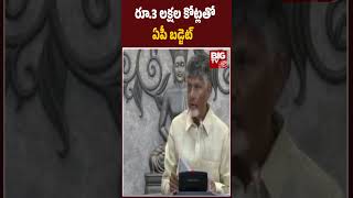 CM Chandrababu Focus On Otan Budget | రూ.3 లక్షల కోట్లతో ఏపీ బడ్జెట్ | BIG TV