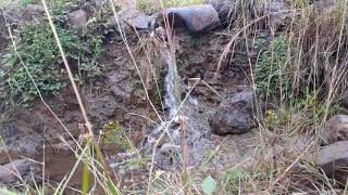 Water flow at Endayessus Mekelle #2