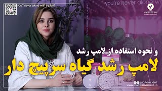 راهنمای خرید ال ای دی رشد گیاه/ لامپ سرپیچ رشد گیاه/ نور مناسب گیاهان/ رشد گیاه