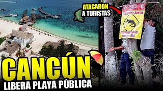 Grandes noticias para Cancún! | hay alerta por cocodrilos, regresan cruceros a Cozumel