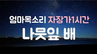 엄마목소리로부르는 자장가1시간 동요 나뭇잎배