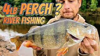 PIKE BRITISH RECORD HOLDER joins me fishing for big PERCH!