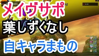 ドラクエ10 メイヴ1 サポ 自キャラケツタイガー 【葉・しずくなし】1080p60fps