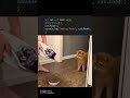 when you forget break statement #coding #programming #javascript #python