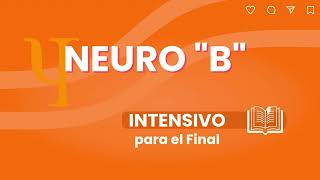 REPASO INTENSIVO: FINAL DE NEURO \