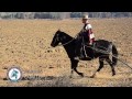 hombres a caballo ricardo ibáñez l