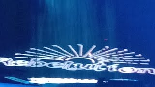 Rebelution - Count Me In - Live At Red Rocks 2023 - Reggae On The Rocks - Ft The Expendables