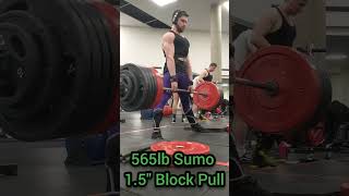 565lb Sumo 1.5\