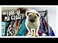 Tour of Doug The Pug's Closet!