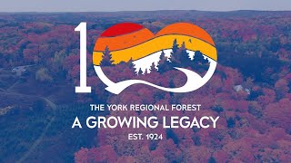 Celebrating 100 Years! - The York Regional Forest