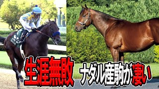 ウマ娘のおかげで日本にやってきた種牡馬【ナダル】の活躍がすごい