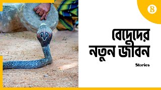 হারিয়ে যাচ্ছে বেদেদের ঐতিহ্য ও সংস্কৃতি | The tradition and culture of the Vedas is getting lost